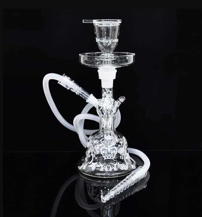 شنطة أرجيلة زجاجية للرحلات
